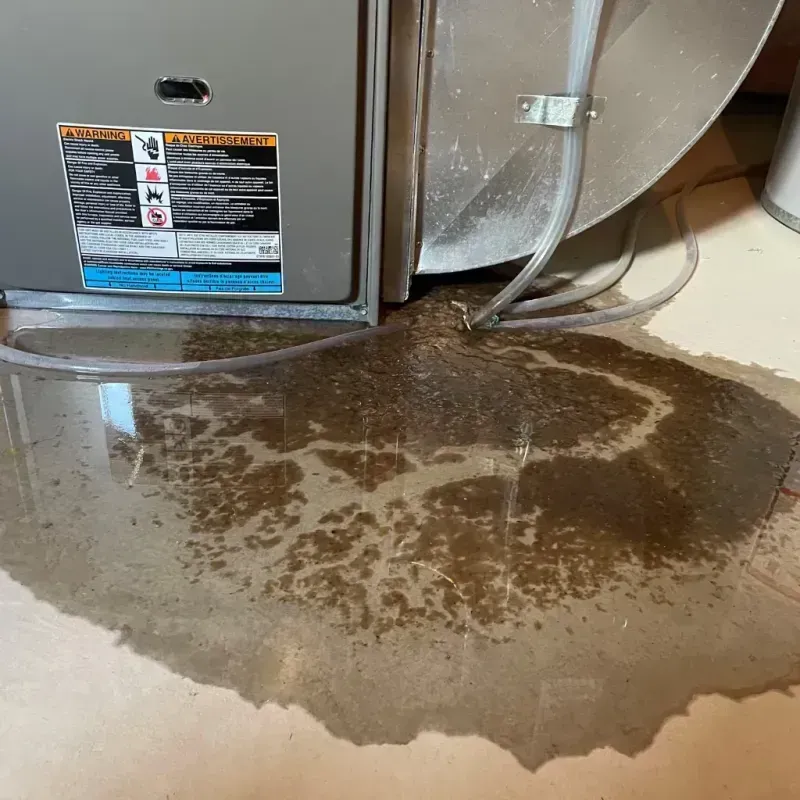 Appliance Leak Cleanup in Glen Avon, CA